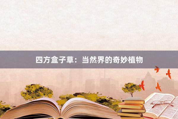 四方盒子草：当然界的奇妙植物